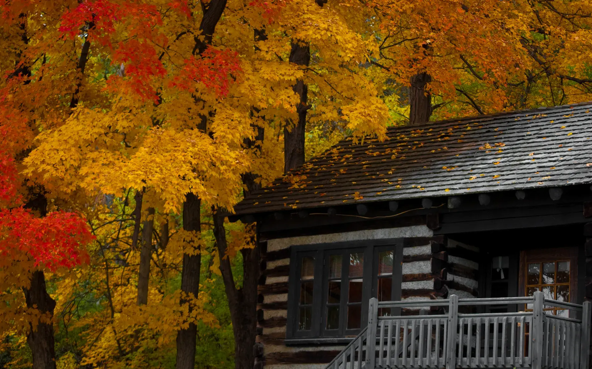 Peak fall colors Peak fall colors